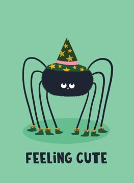 Feeling Cute Spider