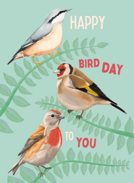 Happy Bird Day