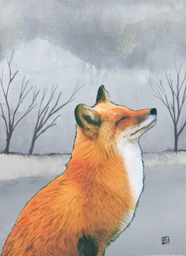 The Calm Before The Storm