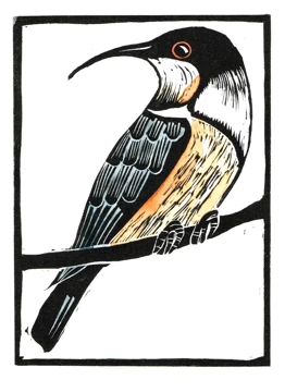 Spine Bill