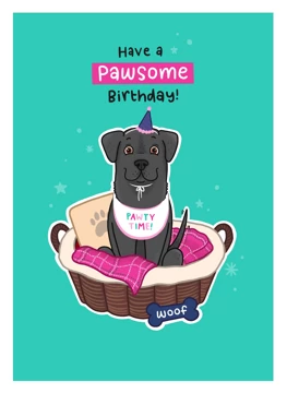 Labrador Birthday