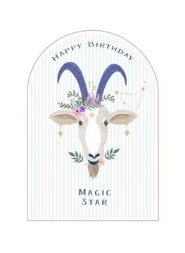 Capricorn Star Sign Zodiac