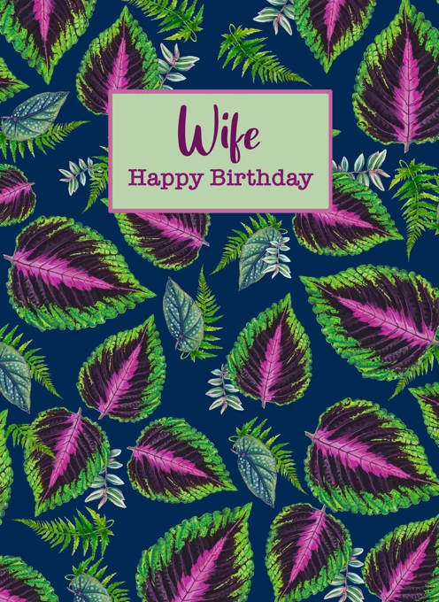 Happy Birthday - Wife