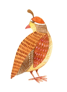 Partridge