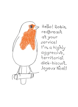 Joyeux Noël Robin