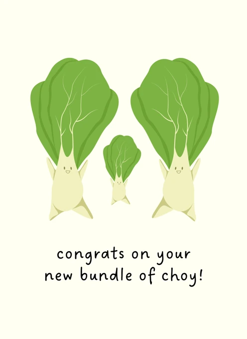 New Bundle of Choy