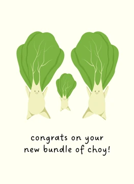 New Bundle of Choy