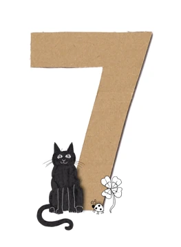 Lucky Number Seven Cat