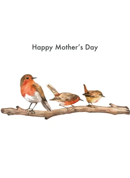 Bird mama of 2