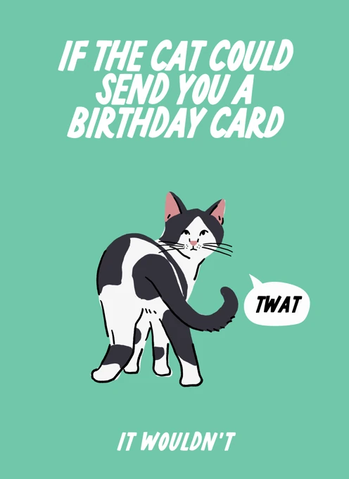 If The Cat Could