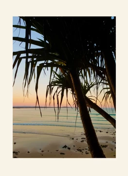 Tropical Sunset by the Shore