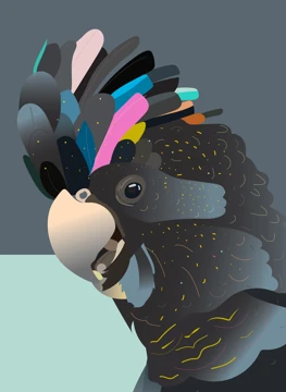 Wild & Wonderful | Black Cockatoo Card