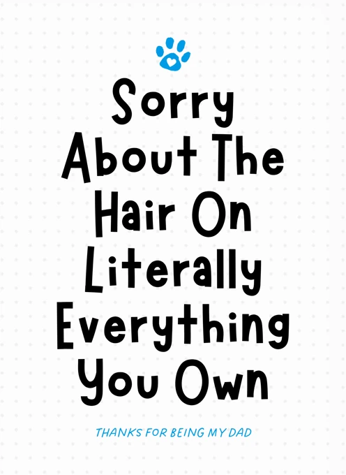 Sorry About the Hair
