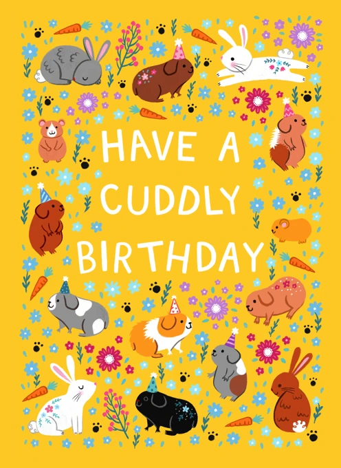 Have a Cuddly Birthday