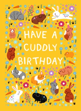 Have a Cuddly Birthday