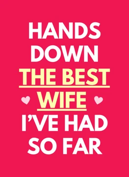 Hands Down The Best Wife