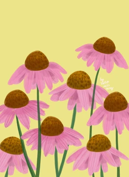 Sunlit Coneflowers