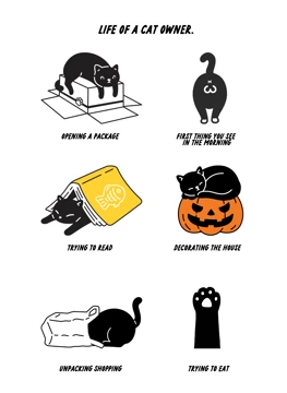 Life Of A Cat Owner