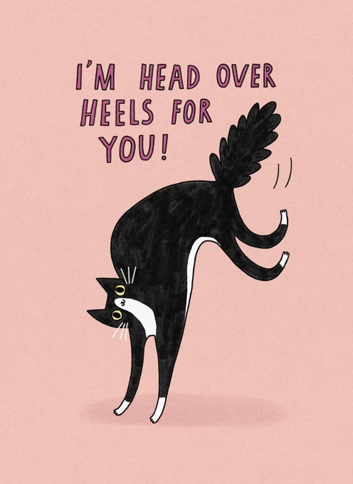 Cat Head Over Heels For You