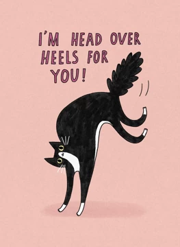 Cat Head Over Heels For You