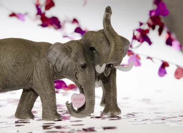 Cuddly Elephants