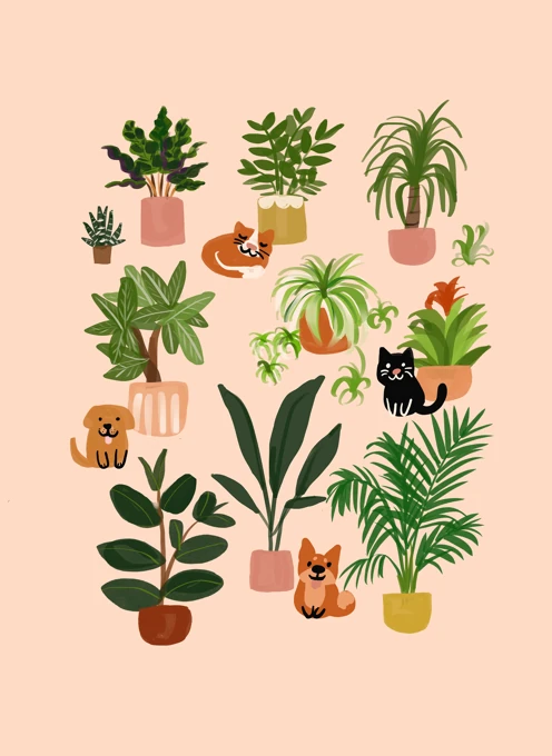 Plants & Paws