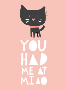 You Had Me At Miao