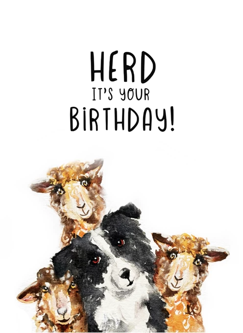 Herd It's Your Birthday!