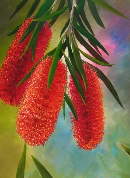 Bottlebrush S.A
