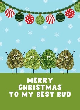 Merry Christmas to My Best Bud