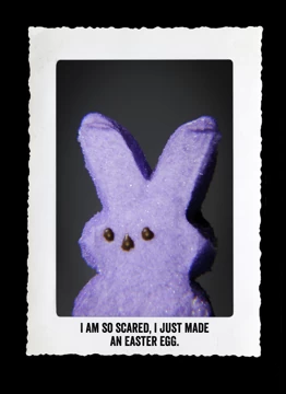 Easter Egg