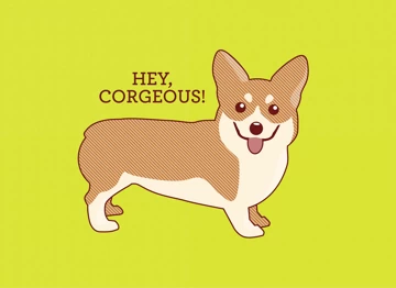 Hey corgeous