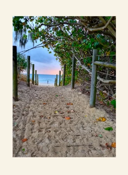 Path to the Sea at Dusk