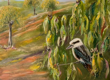 Australian Kookaburra