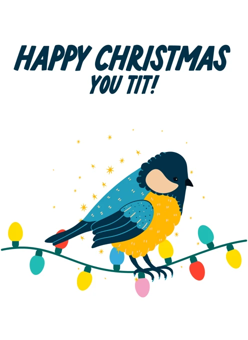 Christmas Tit