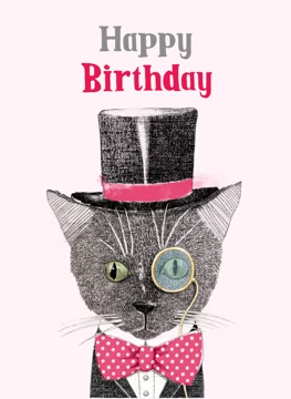Birthday Cat!