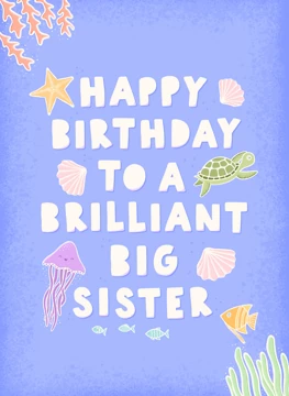 Brilliant Big Sister