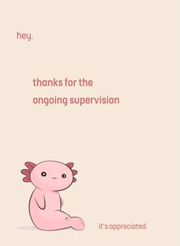 Thanks for the ongoing supervision.