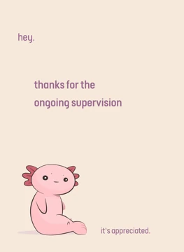 Thanks for the ongoing supervision.