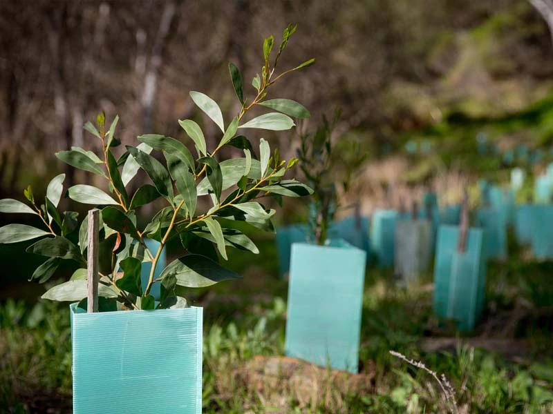 Helping Tackle Climate Change